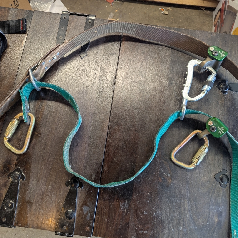 Buckingham Buck SUPERSQUEEZE